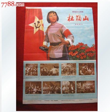 海牙酒店学校社会学文凭证书
